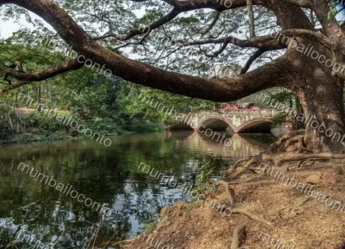 Dahisar